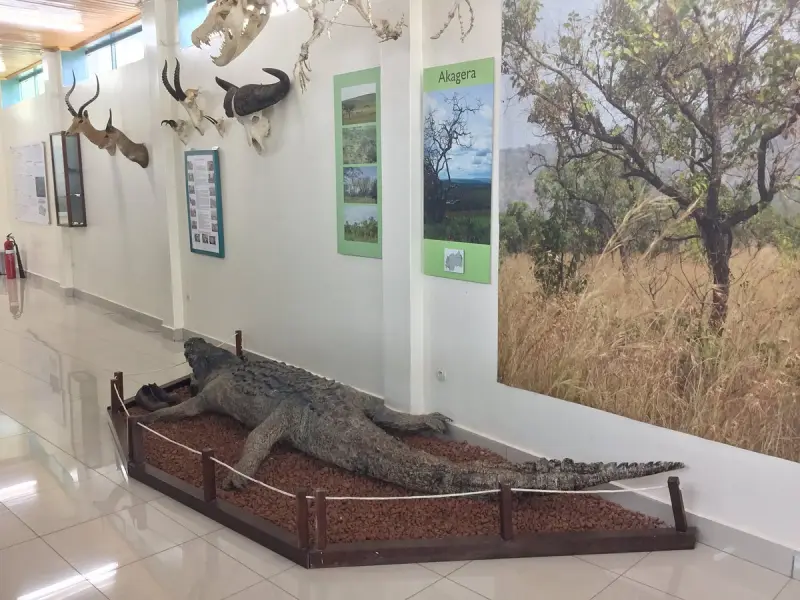 Museum of Environment · Karongi
