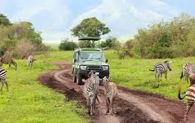 Akagera Safari